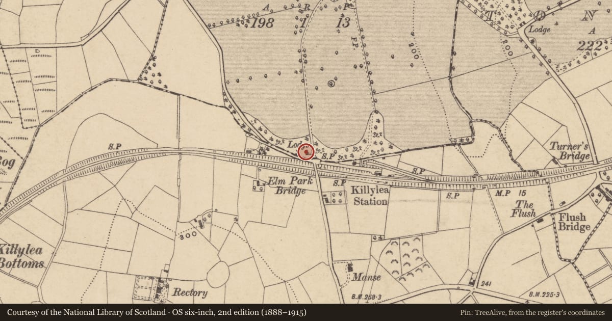 Ordnance Survey six-inch map, 2nd edition (1888–1915) covering the location of Elm Park Lodge (1), Armagh City, Banbridge and Craigavon, with a pin at the register's coordinates