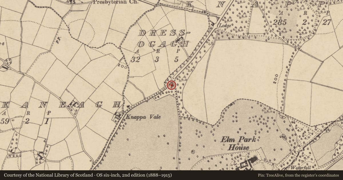 Ordnance Survey six-inch map, 2nd edition (1888–1915) covering the location of Elm Park Lodge (2), Armagh City, Banbridge and Craigavon, with a pin at the register's coordinates