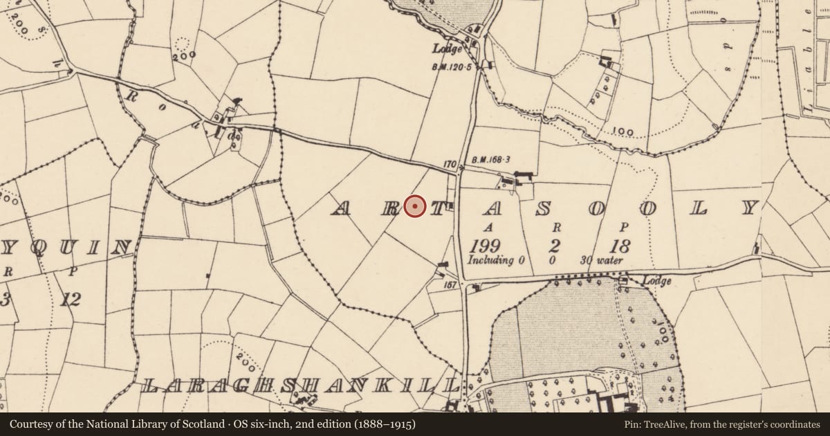 Ordnance Survey six-inch map, 2nd edition (1888–1915) covering the location of Church Of The Immaculate Conception, Armagh City, Banbridge and Craigavon, with a pin at the register's coordinates
