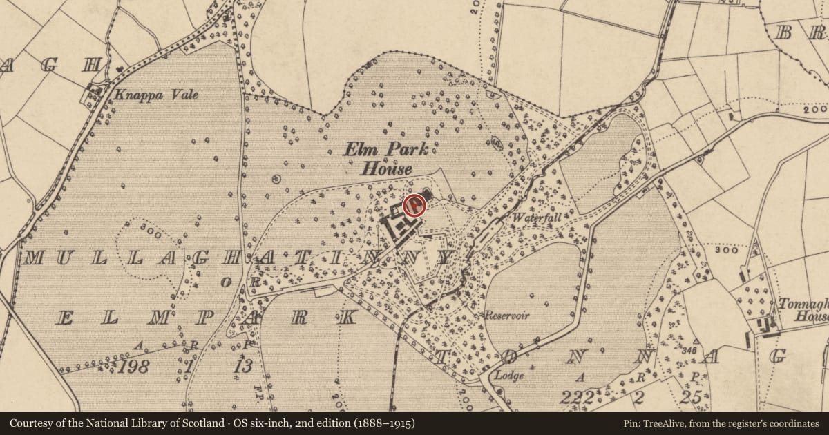 Ordnance Survey six-inch map, 2nd edition (1888–1915) covering the location of Elm Park House, Mullaghatinny, Armagh City, Banbridge and Craigavon, with a pin at the register's coordinates