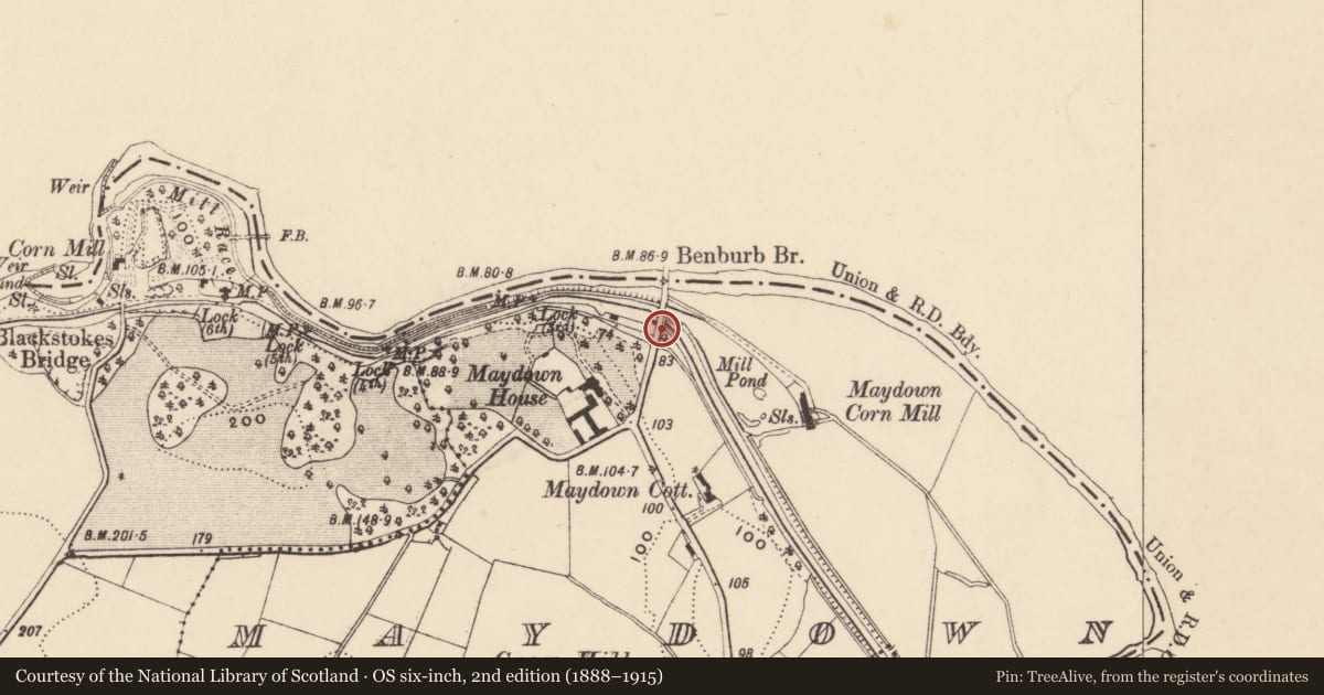Ordnance Survey six-inch map, 2nd edition (1888–1915) covering the location of Canal Bridge, Armagh City, Banbridge and Craigavon, with a pin at the register's coordinates