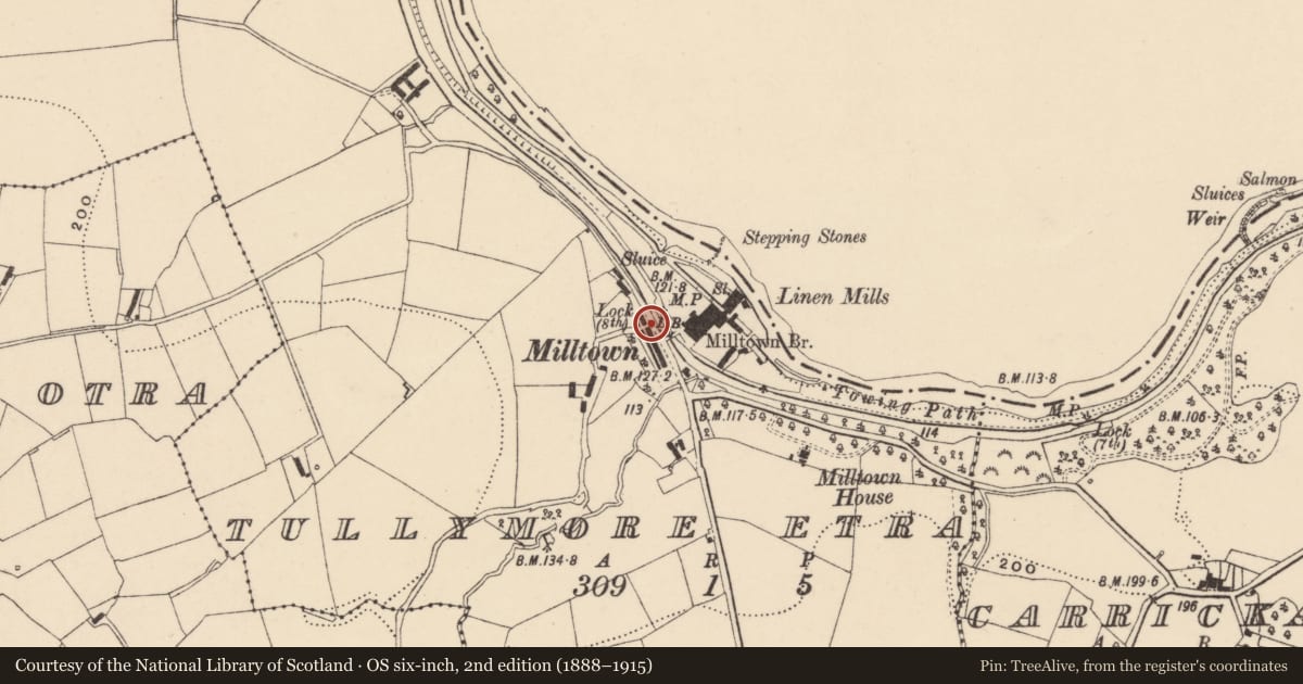 Ordnance Survey six-inch map, 2nd edition (1888–1915) covering the location of Telephone Kiosk, Tullymore Etra, Armagh City, Banbridge and Craigavon, with a pin at the register's coordinates