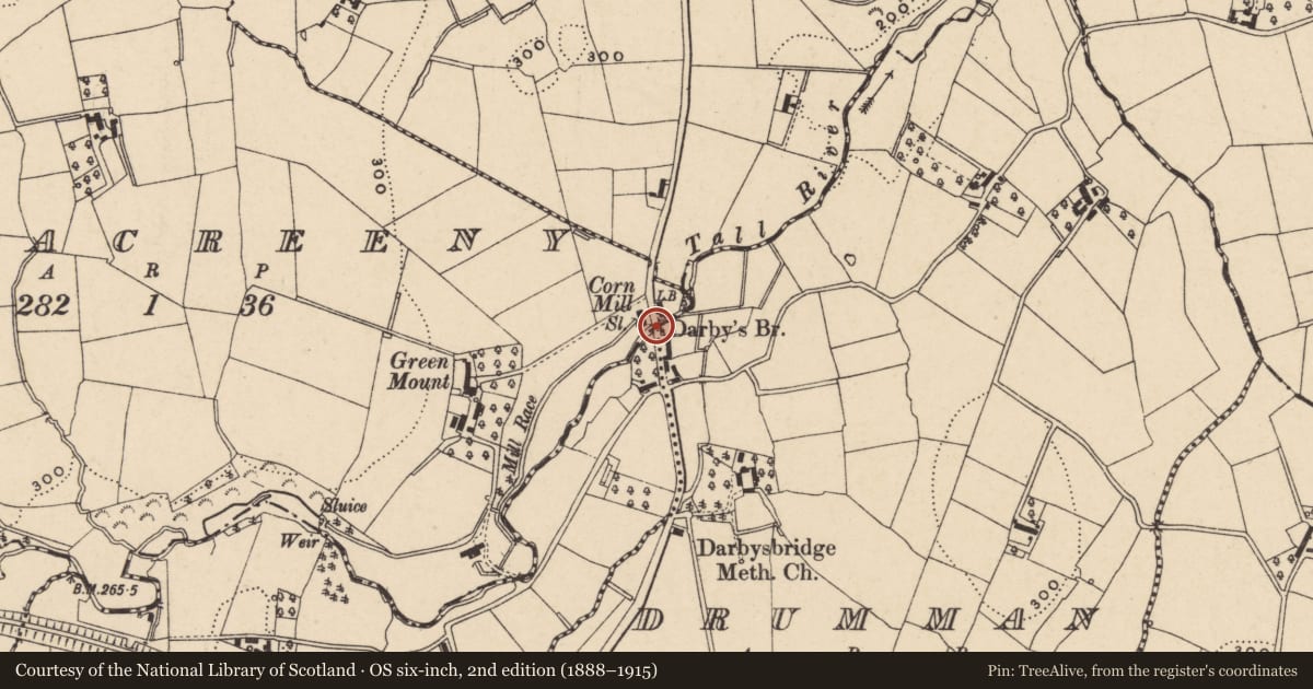 Ordnance Survey six-inch map, 2nd edition (1888–1915) covering the location of Darby'S Road Bridge Rockmacreeny/DRUMORGAN/, Armagh City, Banbridge and Craigavon, with a pin at the register's coordinates