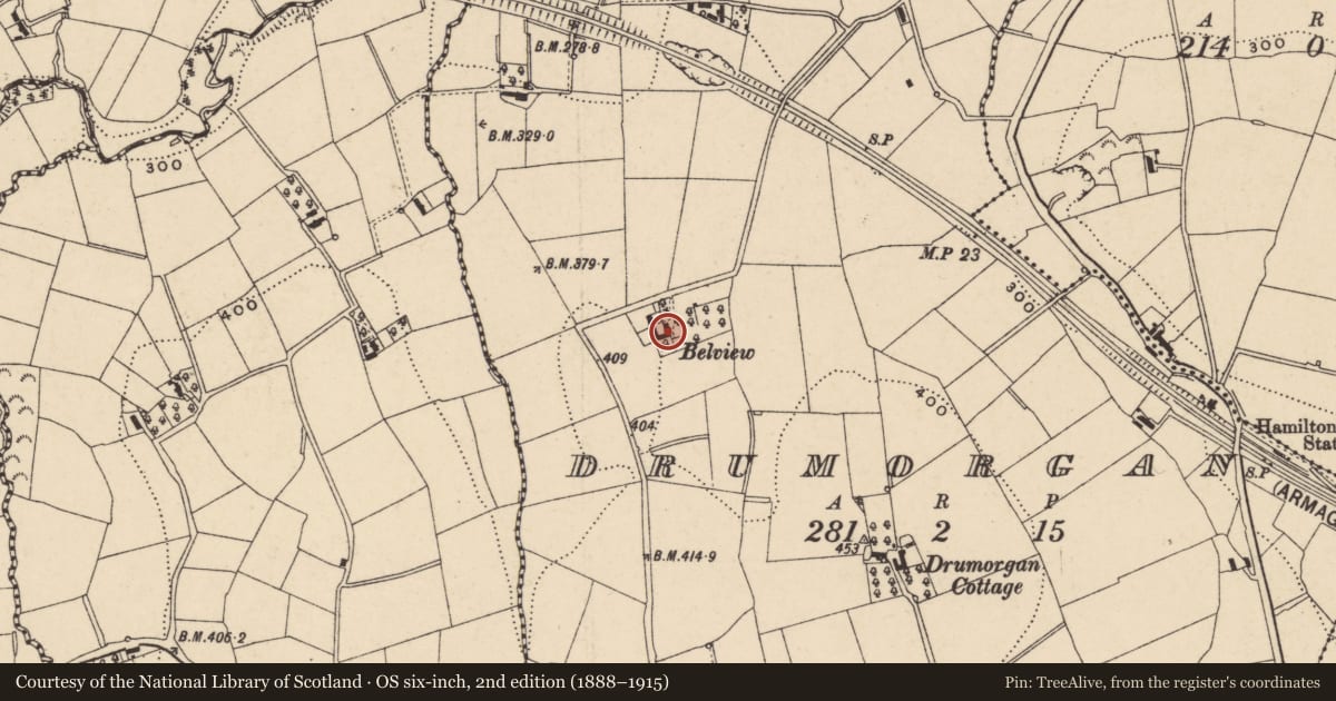 Ordnance Survey six-inch map, 2nd edition (1888–1915) covering the location of BELVIEW, Armagh City, Banbridge and Craigavon, with a pin at the register's coordinates
