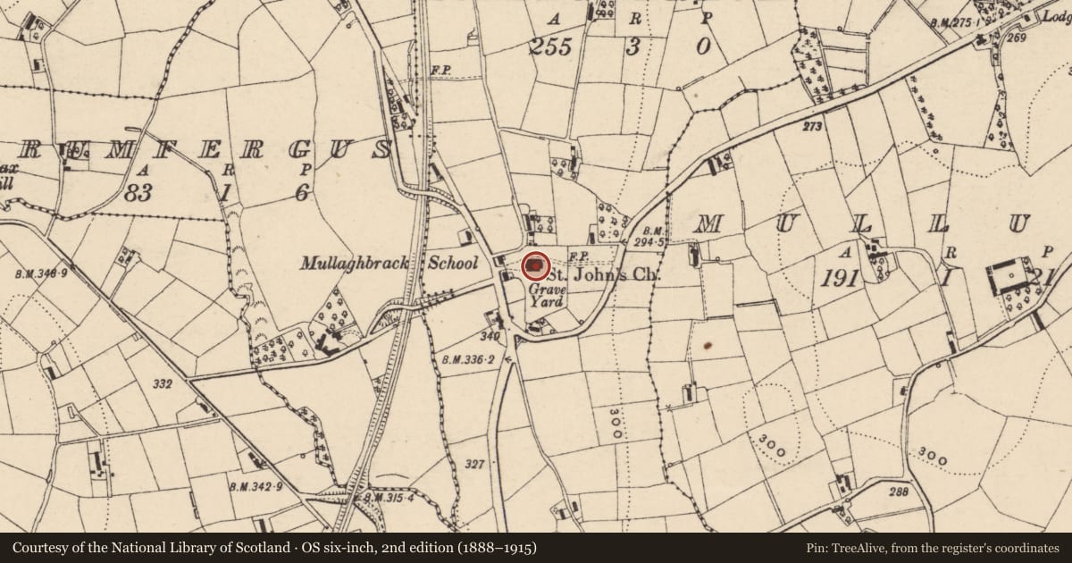 Ordnance Survey six-inch map, 2nd edition (1888–1915) covering the location of St. John'S Parish Church, Armagh City, Banbridge and Craigavon, with a pin at the register's coordinates