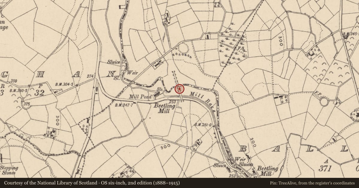 Ordnance Survey six-inch map, 2nd edition (1888–1915) covering the location of Tassagh Viaduct, Armagh City, Banbridge and Craigavon, with a pin at the register's coordinates
