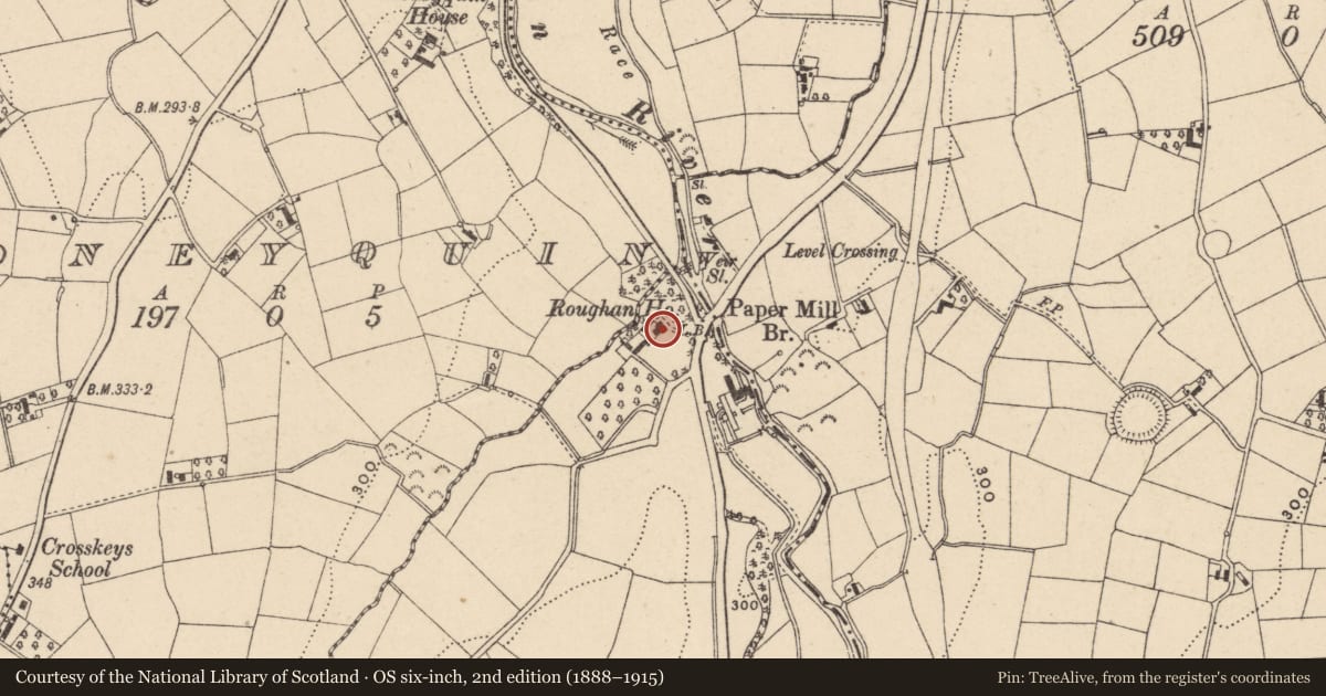 Ordnance Survey six-inch map, 2nd edition (1888–1915) covering the location of Roughan House, Armagh City, Banbridge and Craigavon, with a pin at the register's coordinates