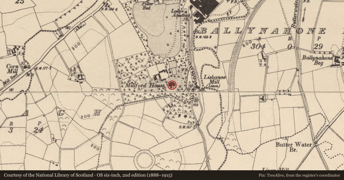 Ordnance Survey six-inch map, 2nd edition (1888–1915) covering the location of Manor House Special Care Hospital, Armagh City, Banbridge and Craigavon, with a pin at the register's coordinates