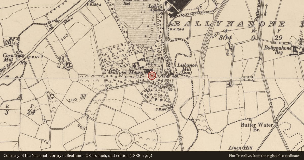 Ordnance Survey six-inch map, 2nd edition (1888–1915) covering the location of Fountain At Manor House Special Care Hospital, Armagh City, Banbridge and Craigavon, with a pin at the register's coordinates