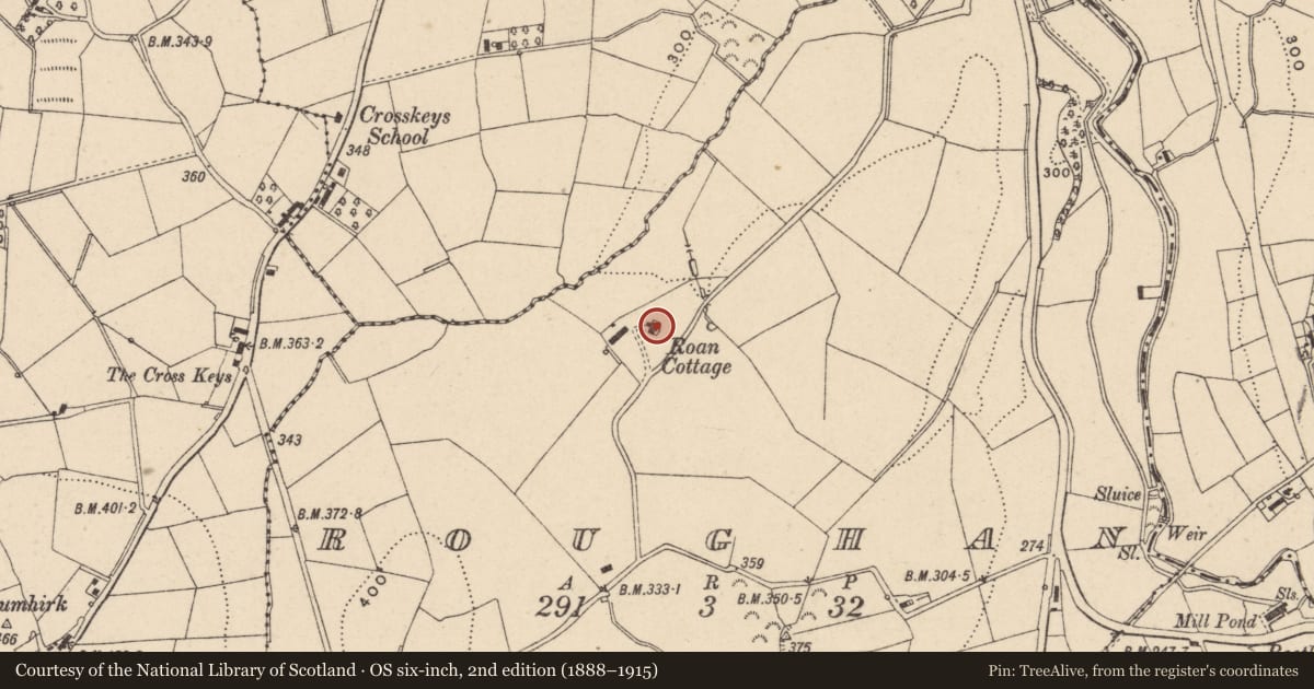 Ordnance Survey six-inch map, 2nd edition (1888–1915) covering the location of Roan Cottage, Armagh City, Banbridge and Craigavon, with a pin at the register's coordinates