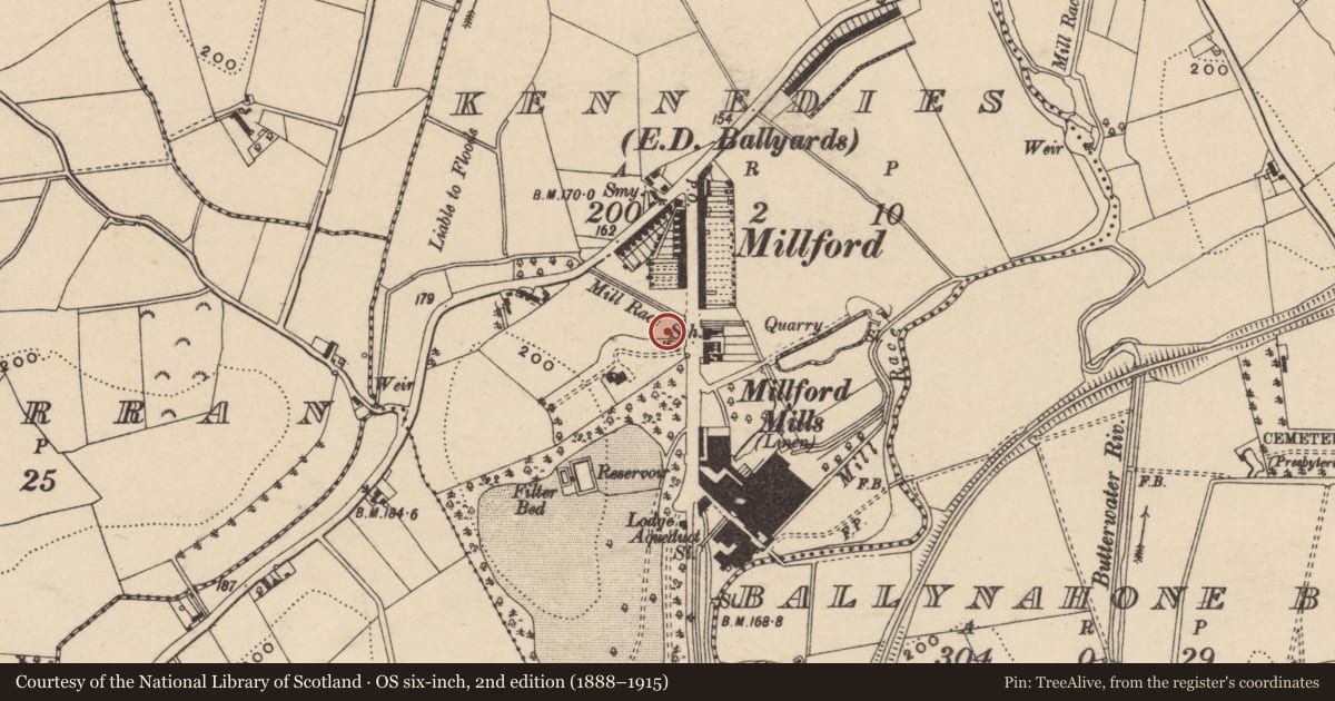Ordnance Survey six-inch map, 2nd edition (1888–1915) covering the location of Mc Crum Institute, Armagh City, Banbridge and Craigavon, with a pin at the register's coordinates
