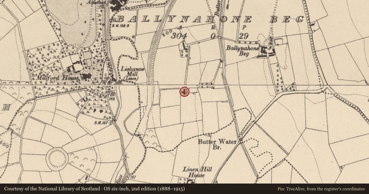 Ordnance Survey six-inch map, 2nd edition (1888–1915) covering the location of 151 The Rock Road, Ballyhone Beg, Armagh City, Banbridge and Craigavon, with a pin at the register's coordinates