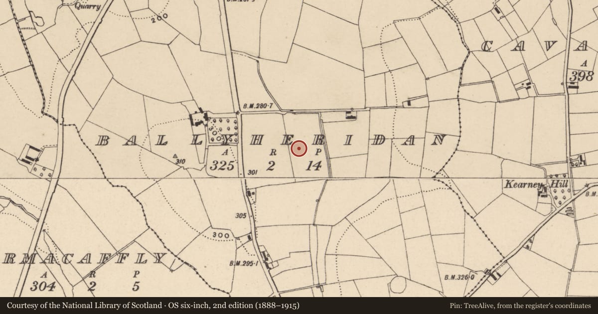 Ordnance Survey six-inch map, 2nd edition (1888–1915) covering the location of South Meridian Marker, Armagh City, Banbridge and Craigavon, with a pin at the register's coordinates