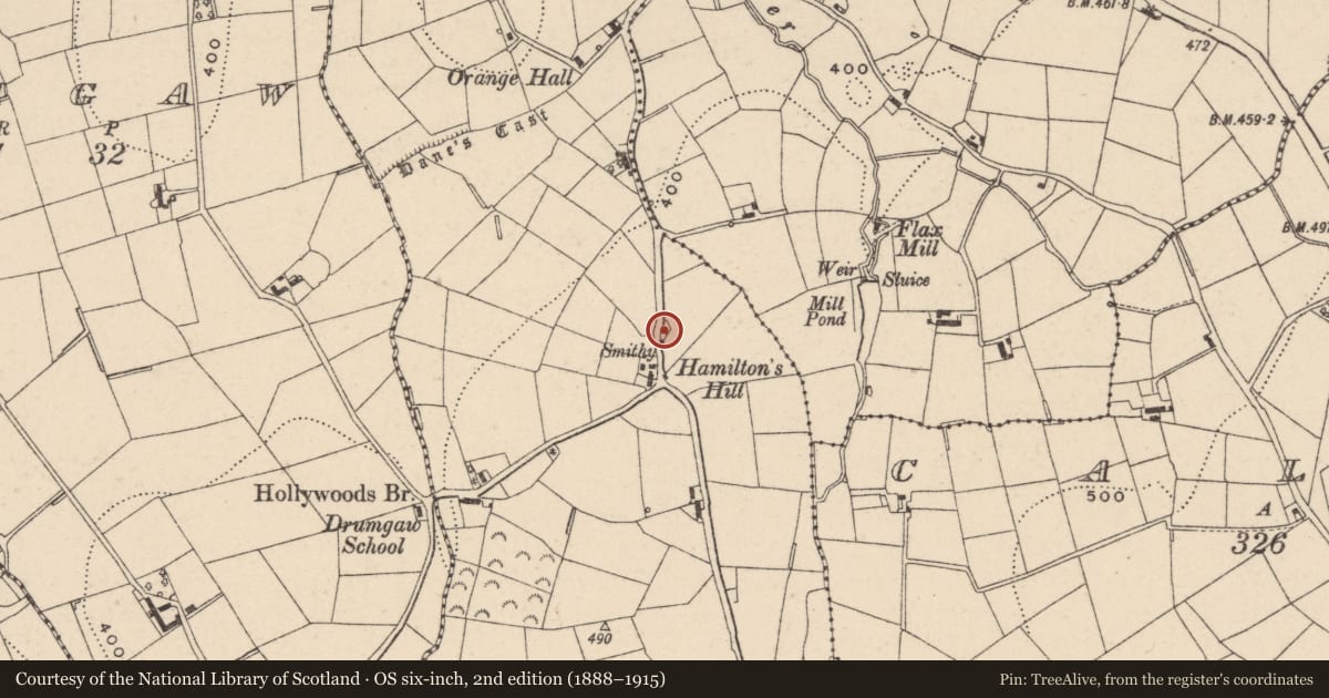 Ordnance Survey six-inch map, 2nd edition (1888–1915) covering the location of LLIMAH, Armagh City, Banbridge and Craigavon, with a pin at the register's coordinates