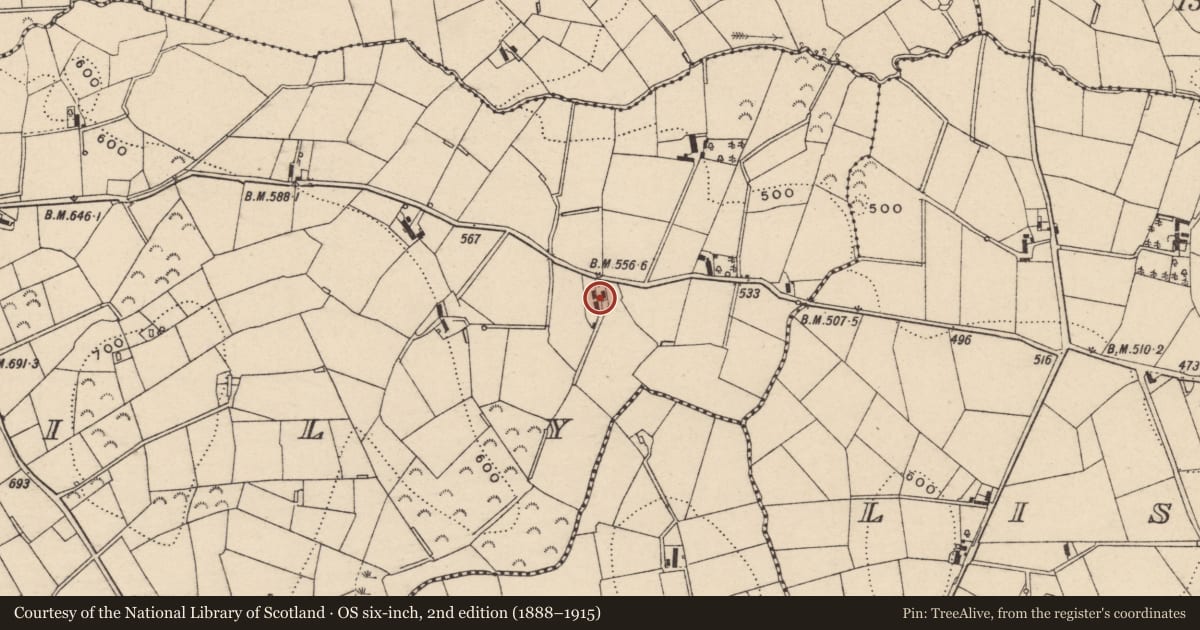Ordnance Survey six-inch map, 2nd edition (1888–1915) covering the location of 52 Lisnagat Road, Damoily, Armagh City, Banbridge and Craigavon, with a pin at the register's coordinates