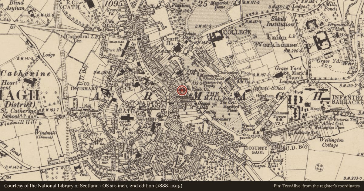 Ordnance Survey six-inch map, 2nd edition (1888–1915) covering the location of Bank Of Ireland, Armagh City, Banbridge and Craigavon, with a pin at the register's coordinates