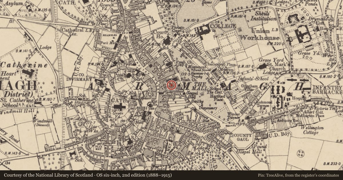 Ordnance Survey six-inch map, 2nd edition (1888–1915) covering the location of 8 Jenny'S Row, Armagh City, Banbridge and Craigavon, with a pin at the register's coordinates