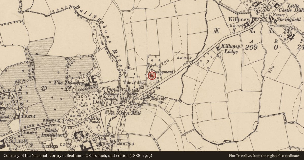 Ordnance Survey six-inch map, 2nd edition (1888–1915) covering the location of SUNNYMEADE, Armagh City, Banbridge and Craigavon, with a pin at the register's coordinates