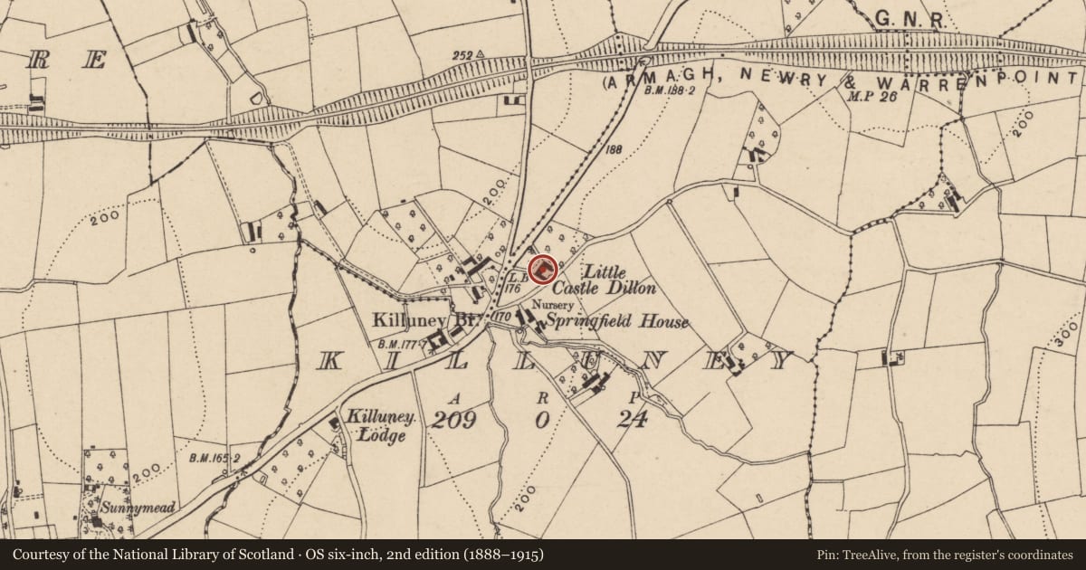 Ordnance Survey six-inch map, 2nd edition (1888–1915) covering the location of Little Castle Dillon, Armagh City, Banbridge and Craigavon, with a pin at the register's coordinates