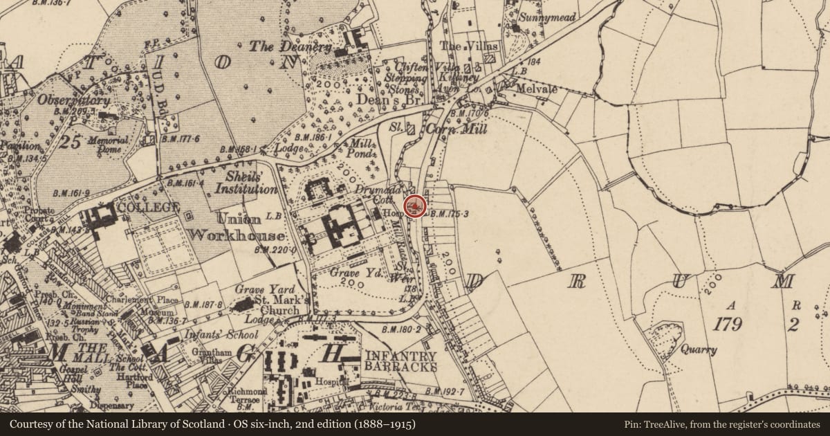 Ordnance Survey six-inch map, 2nd edition (1888–1915) covering the location of 1 Meredith Place (aka 15 Drumadd Road), Armagh, BT61 9EA, Armagh City, Banbridge and Craigavon, with a pin at the register's coordinates