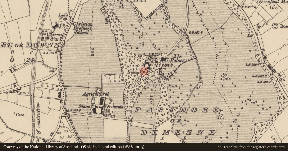 Ordnance Survey six-inch map, 2nd edition (1888–1915) covering the location of Ice House, Armagh City, Banbridge and Craigavon, with a pin at the register's coordinates