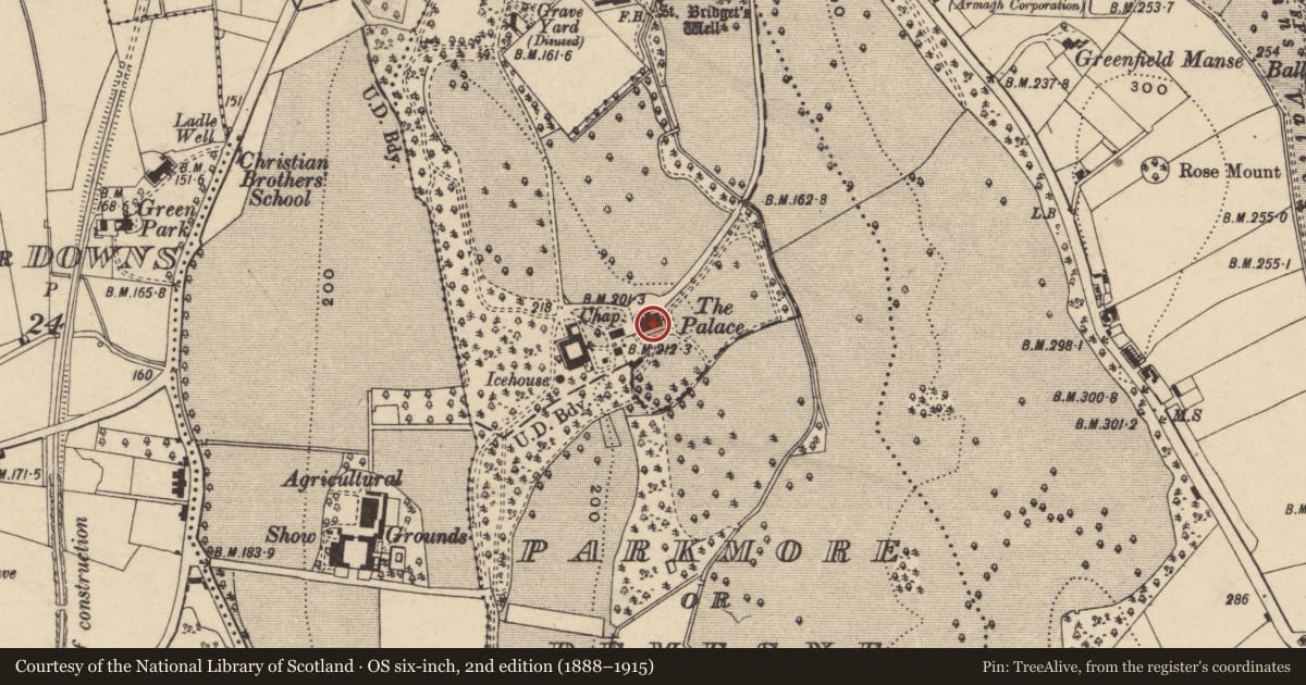 Ordnance Survey six-inch map, 2nd edition (1888–1915) covering the location of The Bishop'S Palace, Armagh City, Banbridge and Craigavon, with a pin at the register's coordinates