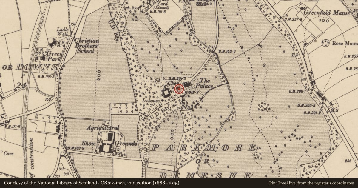 Ordnance Survey six-inch map, 2nd edition (1888–1915) covering the location of Primate'S Chapel, Armagh City, Banbridge and Craigavon, with a pin at the register's coordinates