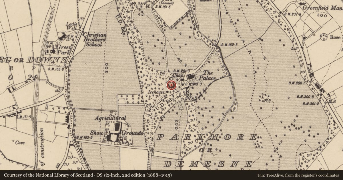 Ordnance Survey six-inch map, 2nd edition (1888–1915) covering the location of Coach Yard And Stables At The Bishop'S Palace, Armagh City, Banbridge and Craigavon, with a pin at the register's coordinates