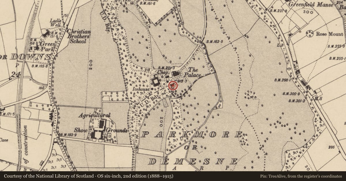 Ordnance Survey six-inch map, 2nd edition (1888–1915) covering the location of Glass House, Armagh City, Banbridge and Craigavon, with a pin at the register's coordinates