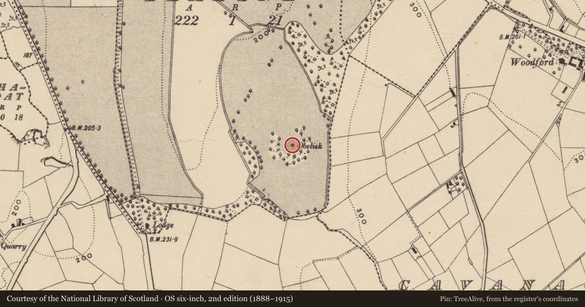 Ordnance Survey six-inch map, 2nd edition (1888–1915) covering the location of The Rokeby Obelisk, Armagh City, Banbridge and Craigavon, with a pin at the register's coordinates