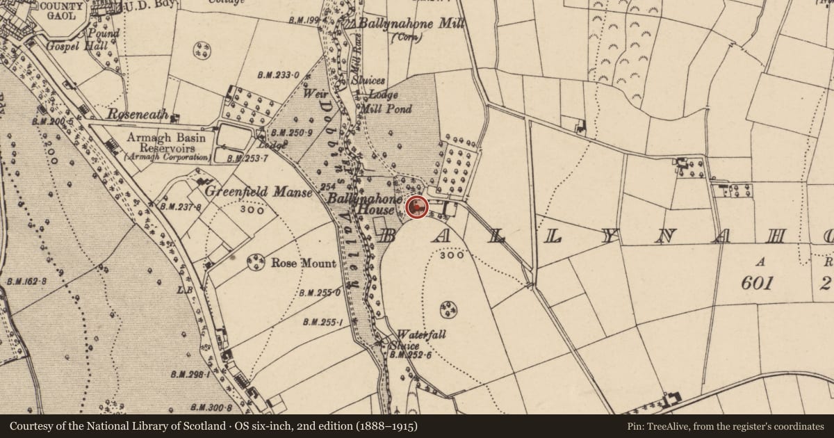 Ordnance Survey six-inch map, 2nd edition (1888–1915) covering the location of Ballinahone House, Armagh City, Banbridge and Craigavon, with a pin at the register's coordinates