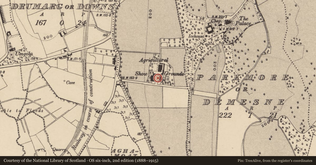 Ordnance Survey six-inch map, 2nd edition (1888–1915) covering the location of Palace Farm, Armagh City, Banbridge and Craigavon, with a pin at the register's coordinates