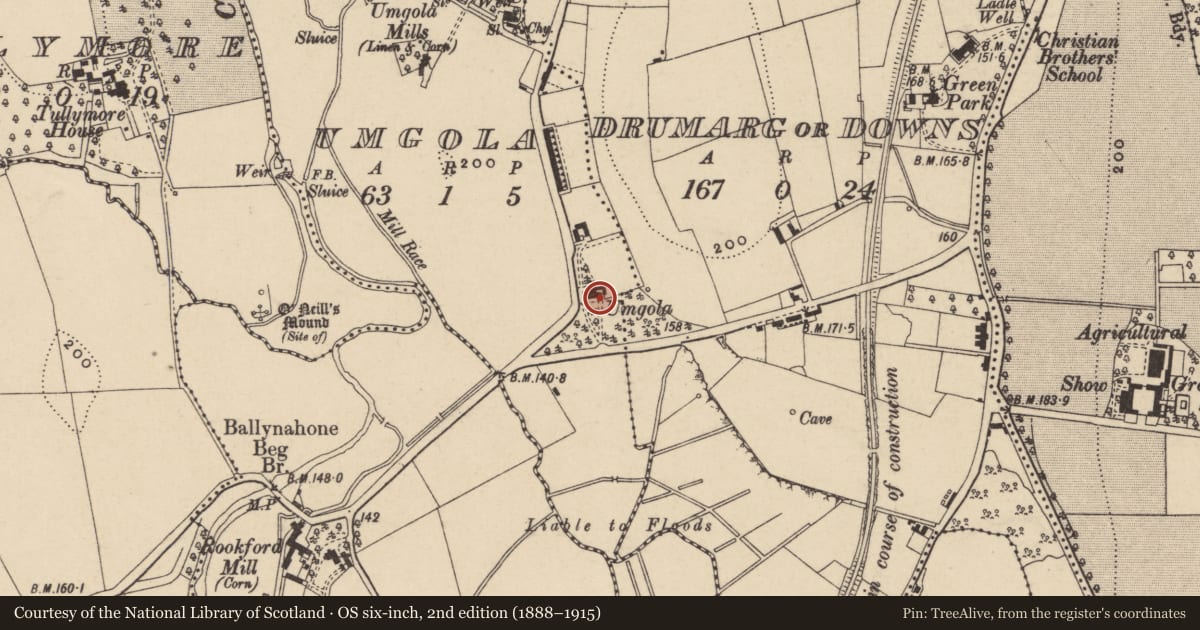 Ordnance Survey six-inch map, 2nd edition (1888–1915) covering the location of Umgola House, Armagh City, Banbridge and Craigavon, with a pin at the register's coordinates