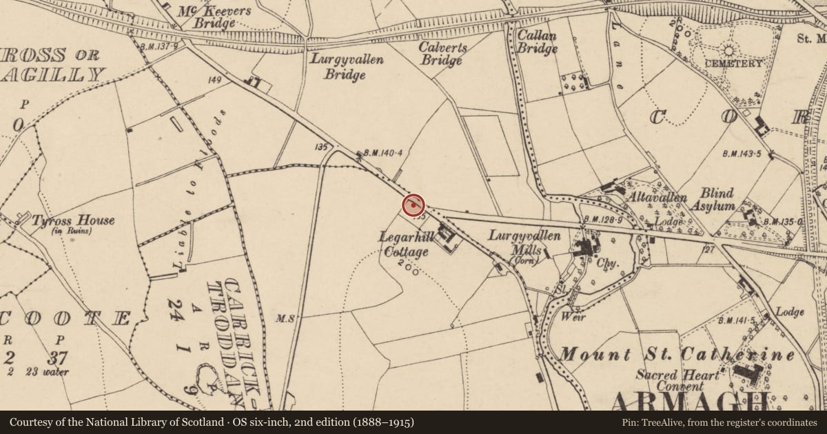 Ordnance Survey six-inch map, 2nd edition (1888–1915) covering the location of Macan Asylum For The Blind, Armagh City, Banbridge and Craigavon, with a pin at the register's coordinates