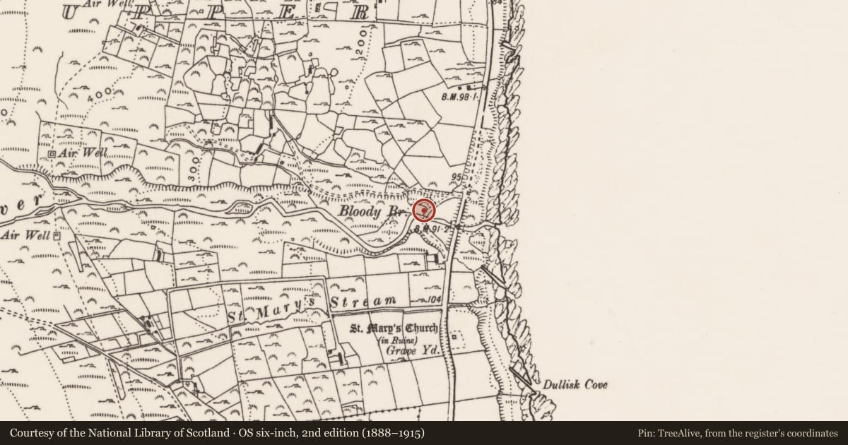 Ordnance Survey six-inch map, 2nd edition (1888–1915) covering the location of Bloody Bridge, (old), Ballaghanery Upper, Newry, Mourne and Down, with a pin at the register's coordinates
