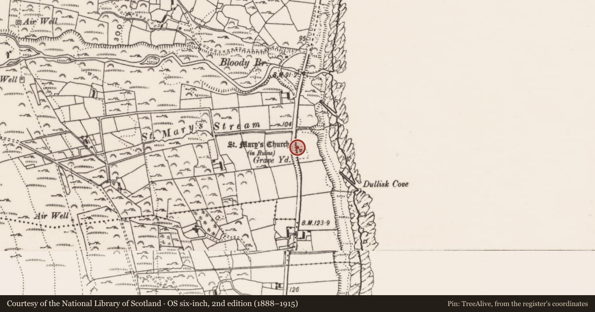Ordnance Survey six-inch map, 2nd edition (1888–1915) covering the location of St. Mary’s Church, Ballaghanery Upper, Newry, Mourne and Down, with a pin at the register's coordinates