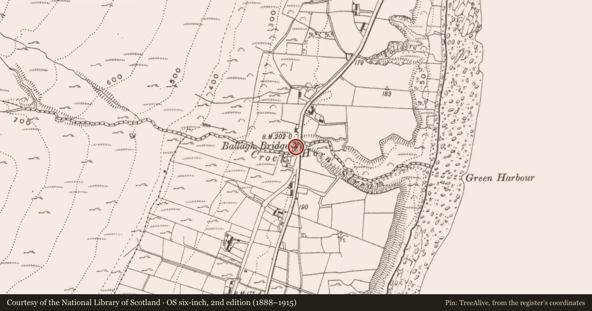 Ordnance Survey six-inch map, 2nd edition (1888–1915) covering the location of Ballagh Bridge (old), Ballaghanery/Glasdrumman, Newry, Mourne and Down, with a pin at the register's coordinates