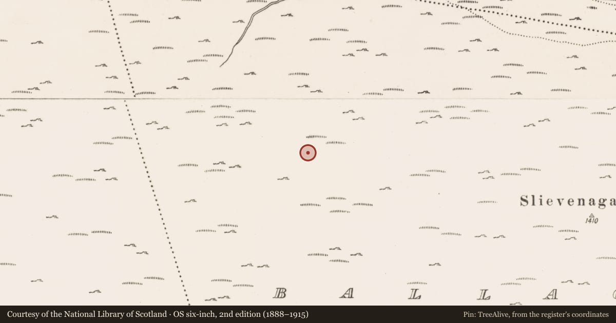 Ordnance Survey six-inch map, 2nd edition (1888–1915) covering the location of Wire Rope Tramway, Ballaghanery, Newry, Mourne and Down, with a pin at the register's coordinates
