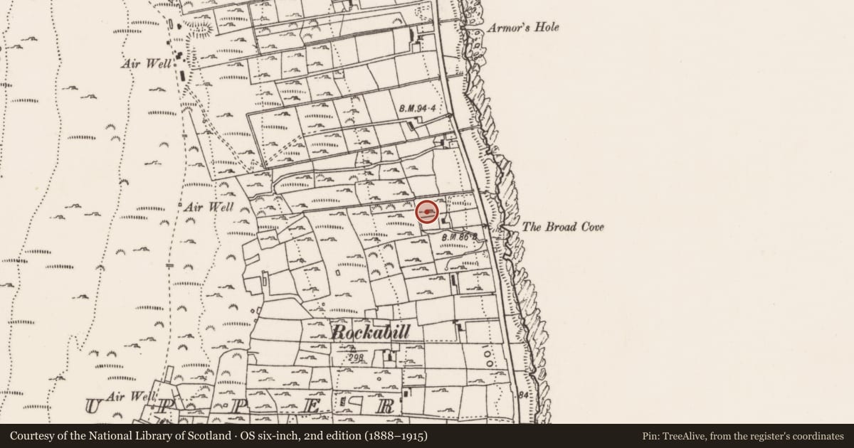 Ordnance Survey six-inch map, 2nd edition (1888–1915) covering the location of Shannagh More, Ballaghanery Upper, Newry, Mourne and Down, with a pin at the register's coordinates