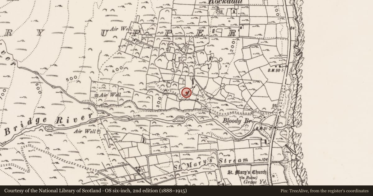 Ordnance Survey six-inch map, 2nd edition (1888–1915) covering the location of Dwelling, Ballaghanery Upper, Newry, Mourne and Down, with a pin at the register's coordinates