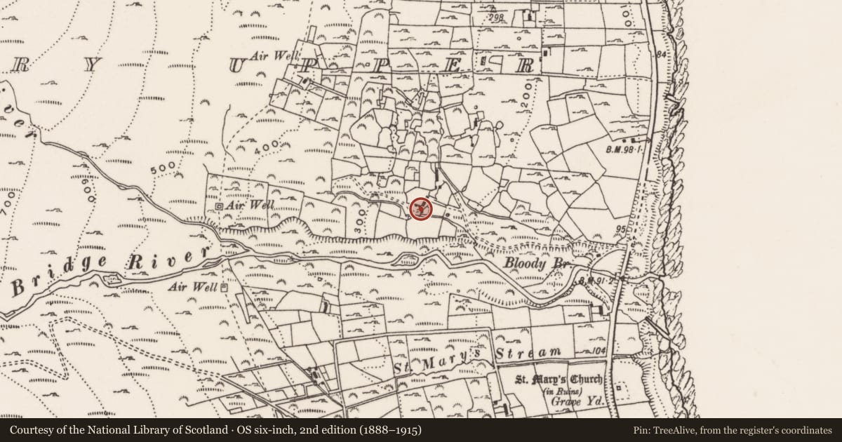 Ordnance Survey six-inch map, 2nd edition (1888–1915) covering the location of Byre at Dwelling, Ballaghanery Upper, Newry, Mourne and Down, with a pin at the register's coordinates
