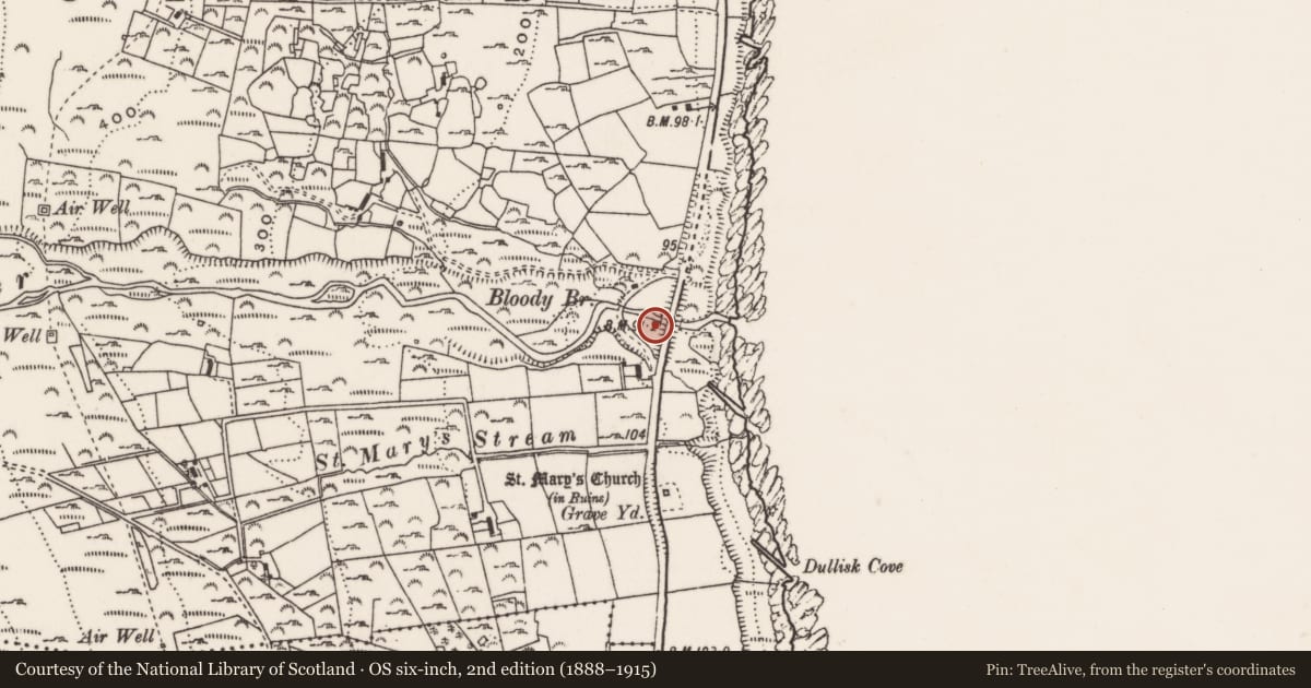 Ordnance Survey six-inch map, 2nd edition (1888–1915) covering the location of Bloody Bridge (new), Ballaghanery Upper, Newry, Mourne and Down, with a pin at the register's coordinates