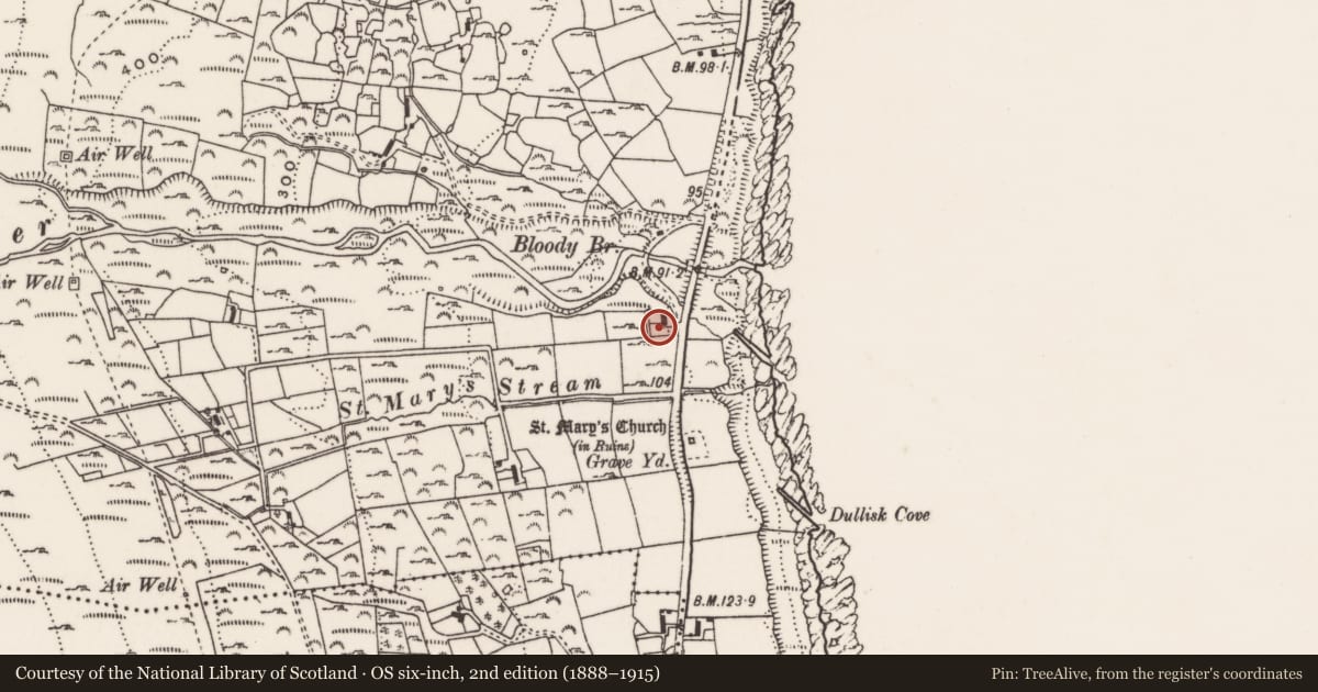 Ordnance Survey six-inch map, 2nd edition (1888–1915) covering the location of 85 Ballagh Road, Ballaghanery Upper, Newry, Mourne and Down, with a pin at the register's coordinates