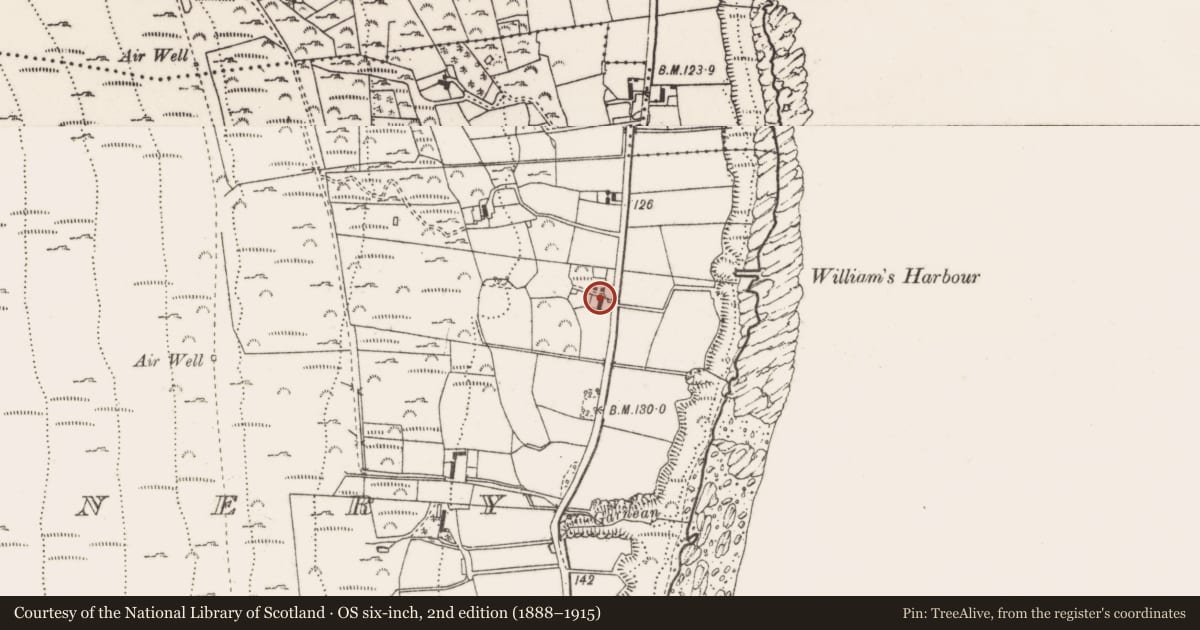 Ordnance Survey six-inch map, 2nd edition (1888–1915) covering the location of 121 Ballagh Road, Ballaghanery, Newry, Mourne and Down, with a pin at the register's coordinates