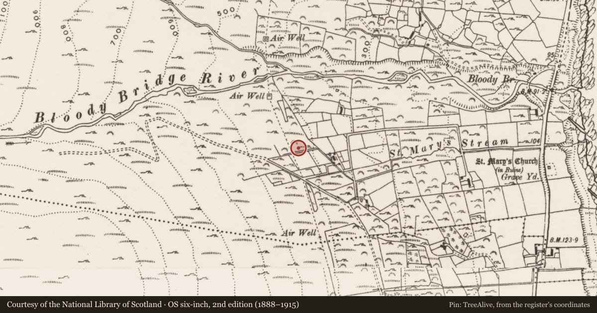 Ordnance Survey six-inch map, 2nd edition (1888–1915) covering the location of Youth Hostel, Ballaghanery Upper, Newry, Mourne and Down, with a pin at the register's coordinates