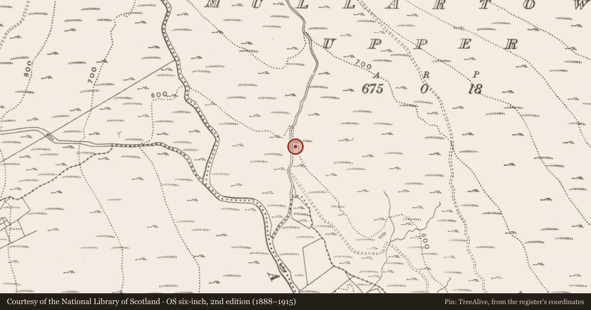 Ordnance Survey six-inch map, 2nd edition (1888–1915) covering the location of Intercepting Weir, Mullartown Upper, Newry, Mourne and Down, with a pin at the register's coordinates