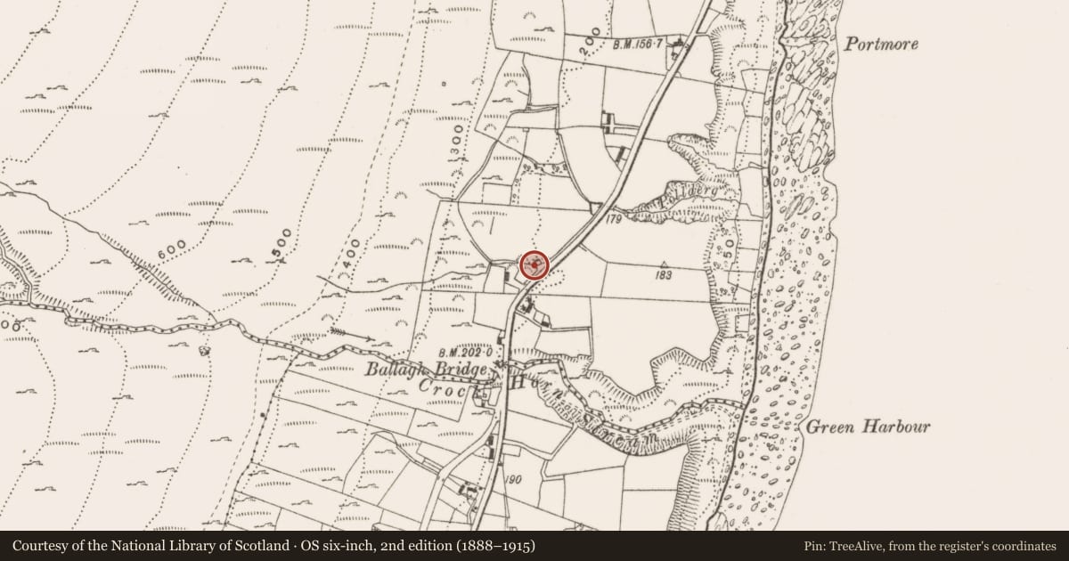 Ordnance Survey six-inch map, 2nd edition (1888–1915) covering the location of House, Ballaghanery, Newry, Mourne and Down, with a pin at the register's coordinates