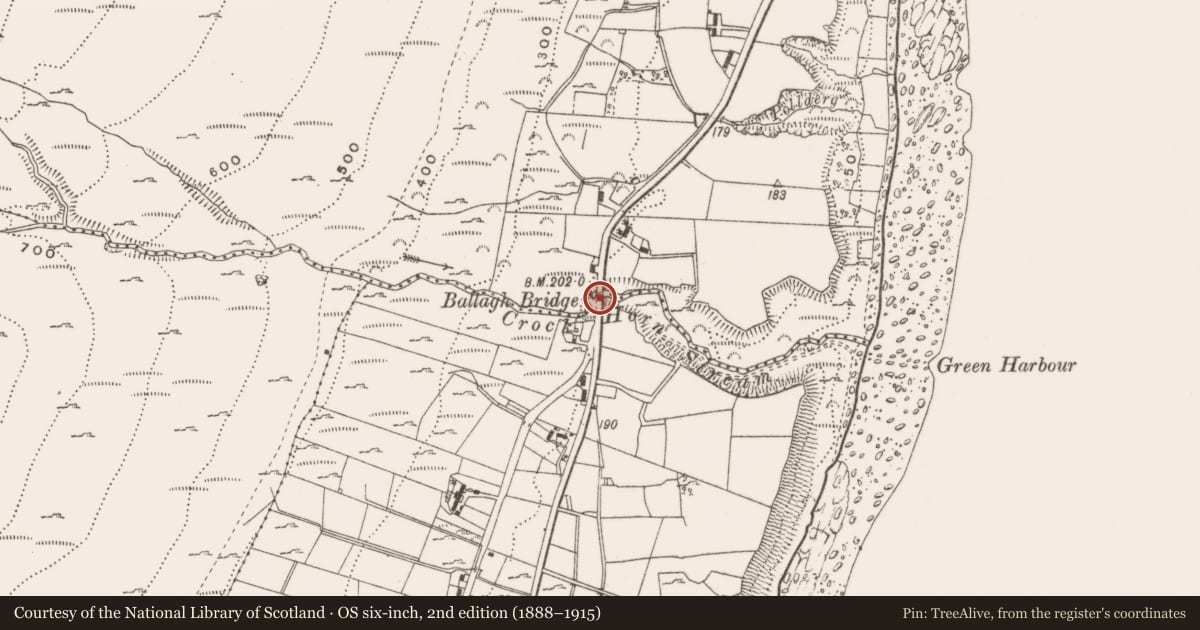 Ordnance Survey six-inch map, 2nd edition (1888–1915) covering the location of Ballagh Bridge (new), Ballaghanery/Glasdrumman, Newry, Mourne and Down, with a pin at the register's coordinates