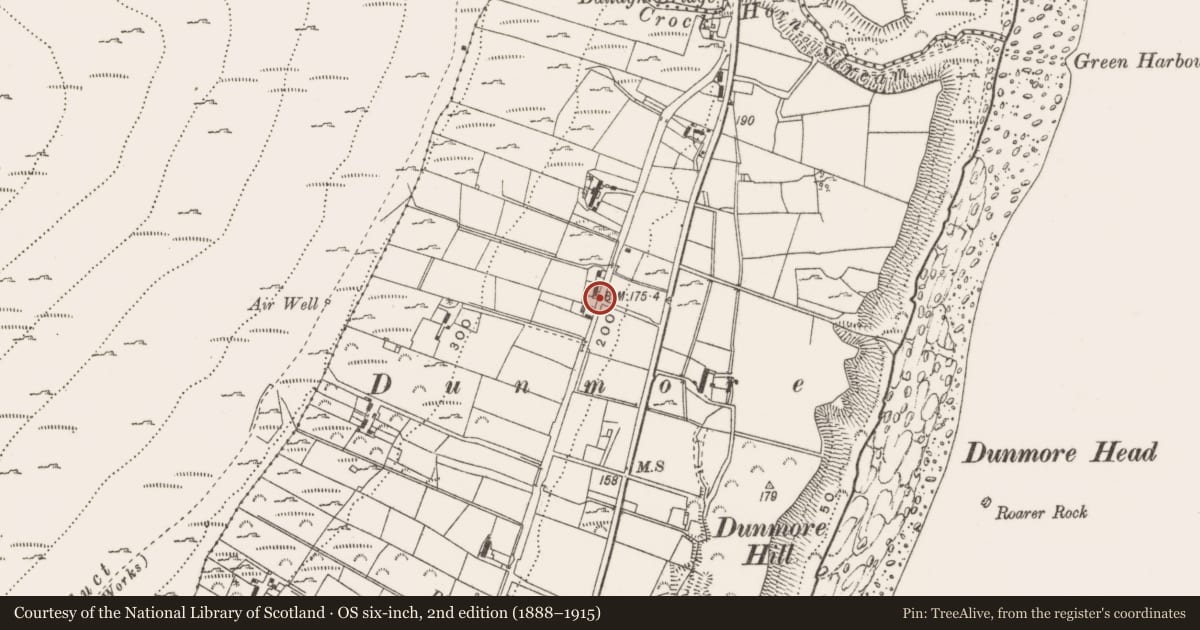 Ordnance Survey six-inch map, 2nd edition (1888–1915) covering the location of 36 Old Road, Glasdrumman, Newry, Mourne and Down, with a pin at the register's coordinates