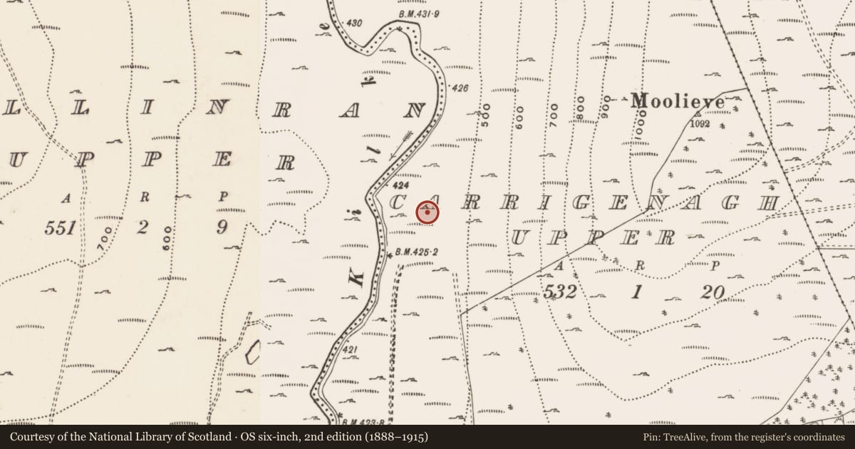 Ordnance Survey six-inch map, 2nd edition (1888–1915) covering the location of Water screening house, Carrigenagh Upper, Newry, Mourne and Down, with a pin at the register's coordinates